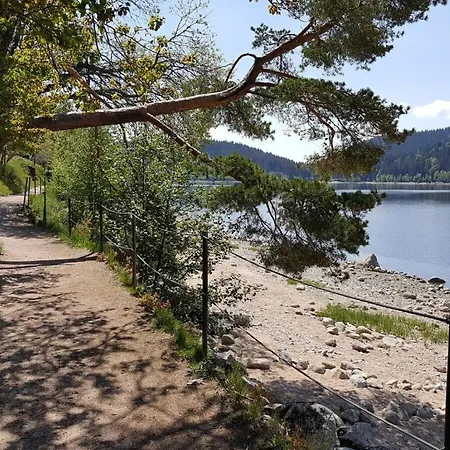 Сasa de vacaciones Schluchseestube 3309